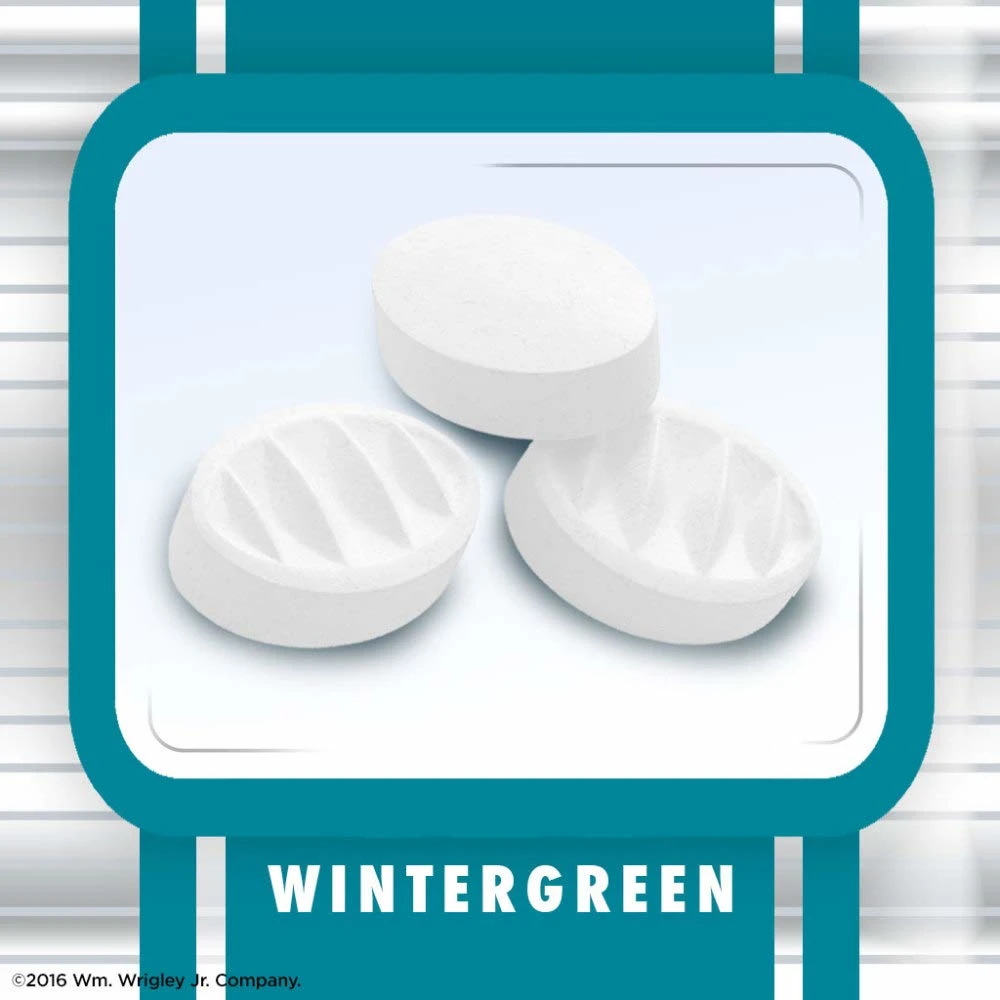 Altoids Arctic Mints Wintergreen Sugar Free (8 Count) - Image 7