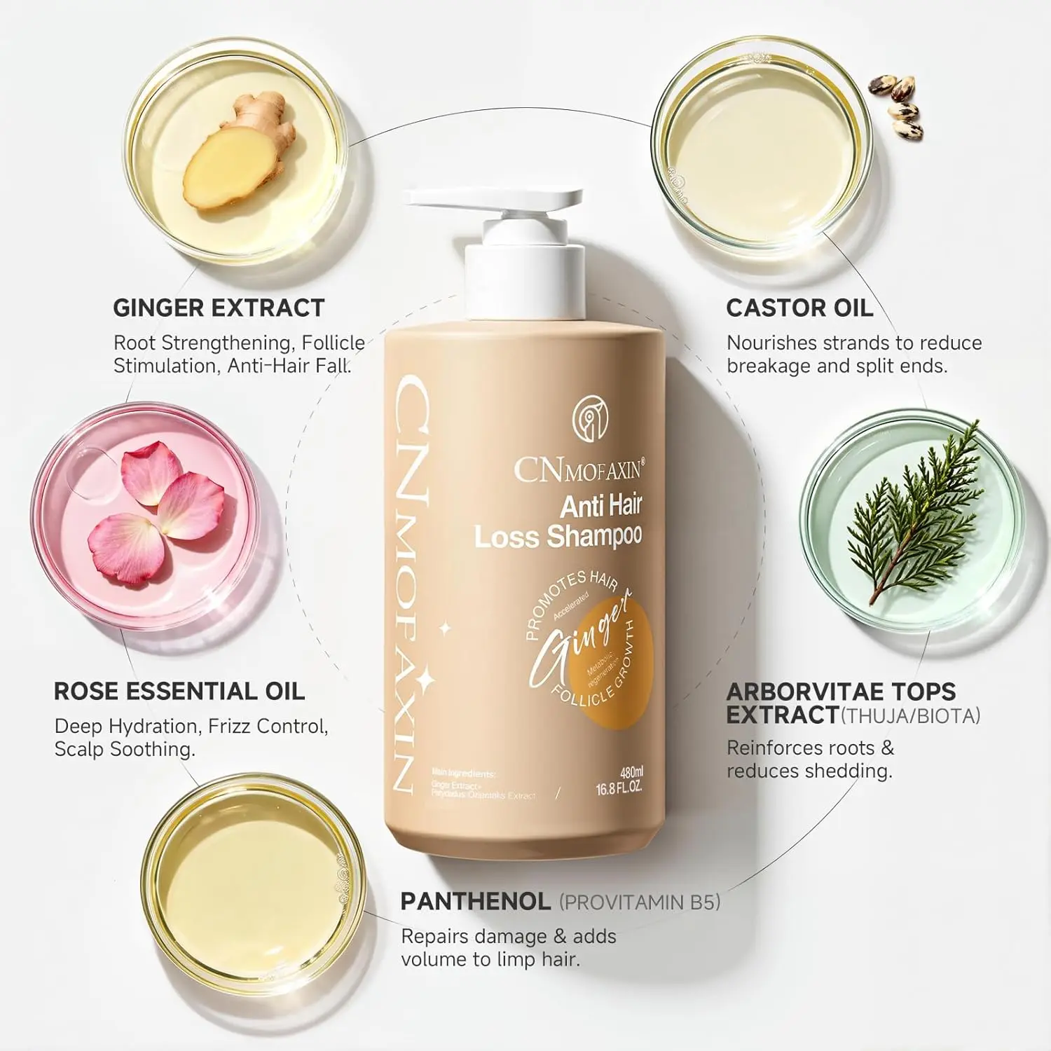 Anti hair loss shampoo with castor oil, rose oil, and ginger extract promotes hair growth, thickens hair, and soothes dry, itchy scalp for men and women.