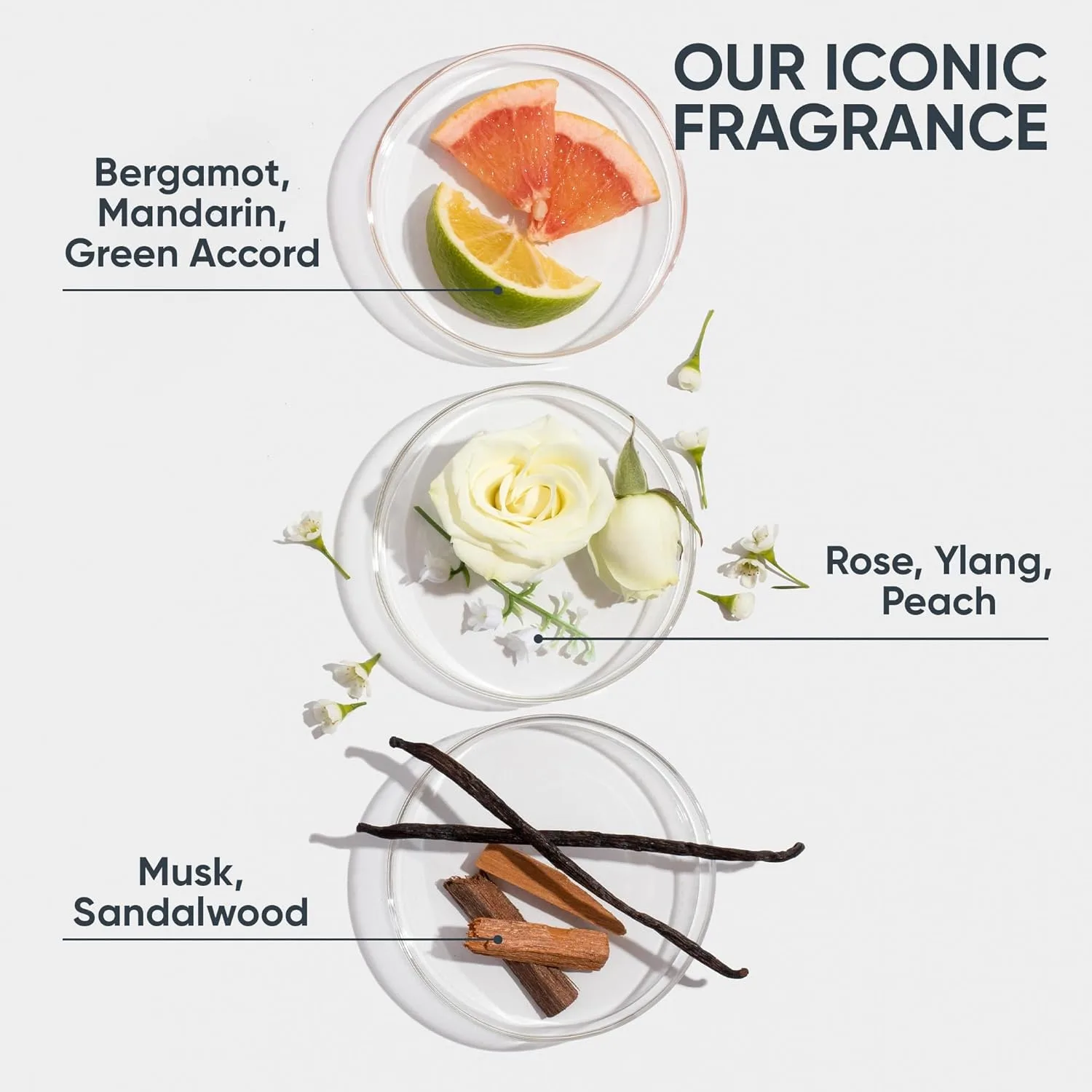 BIOLAGE Strength Recovery Leave-In Spray - Image 4