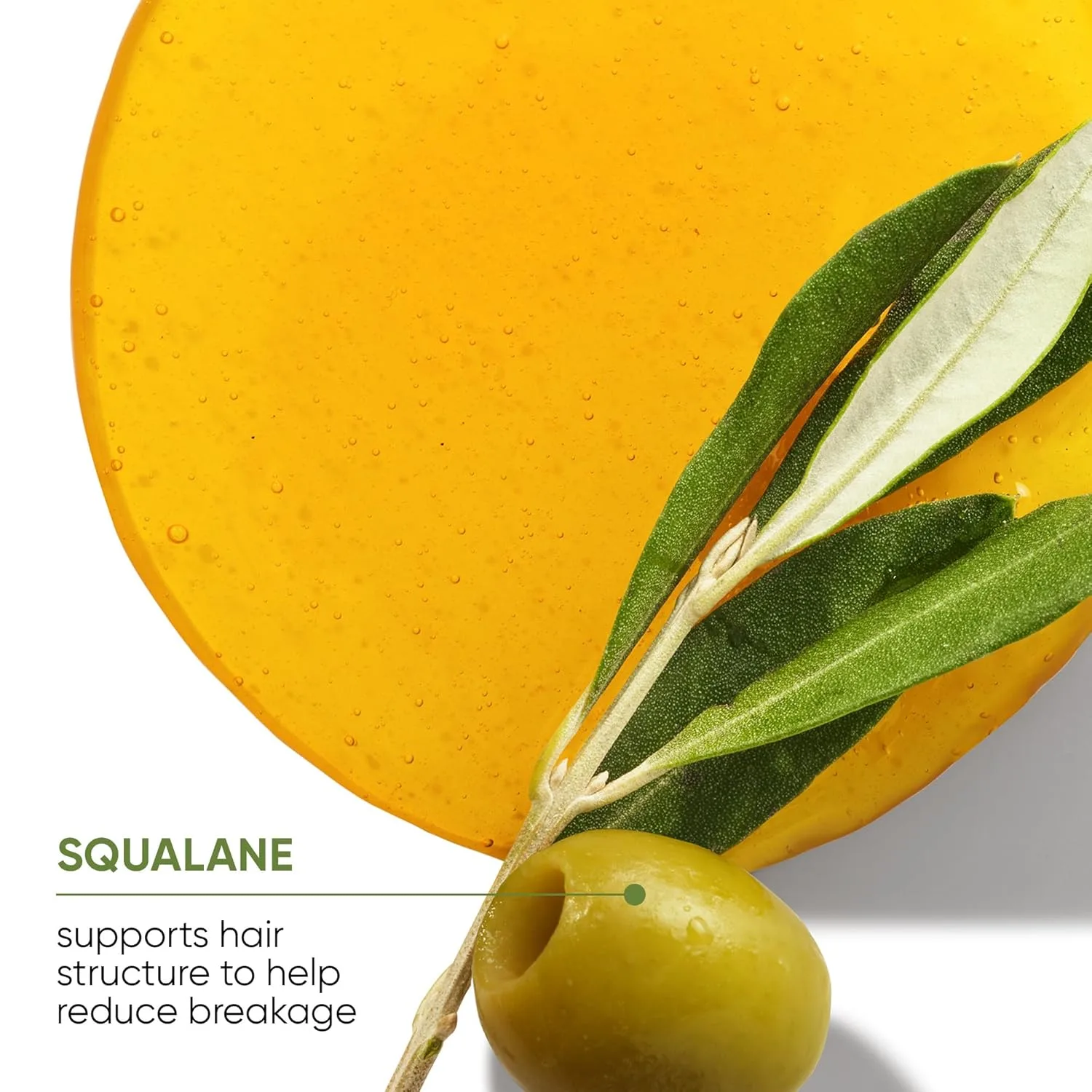 BIOLAGE Strength Recovery Leave-In Spray - Image 5