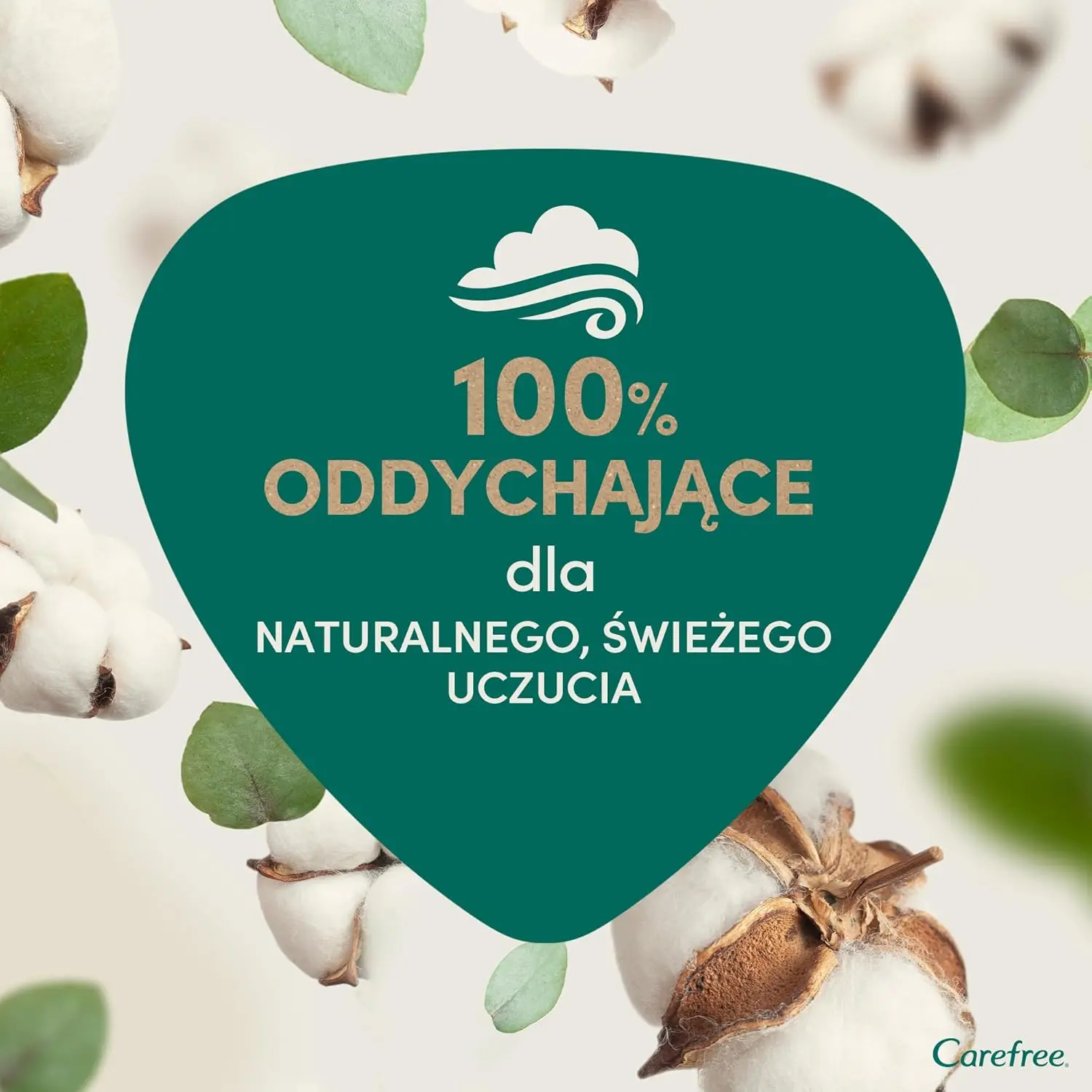 A pack of 30 Carefree organic cotton pantyliners designed for sensitive skin, featuring a 100% organic cotton topsheet that is breathable, hypoallergenic, and dermatologically tested.