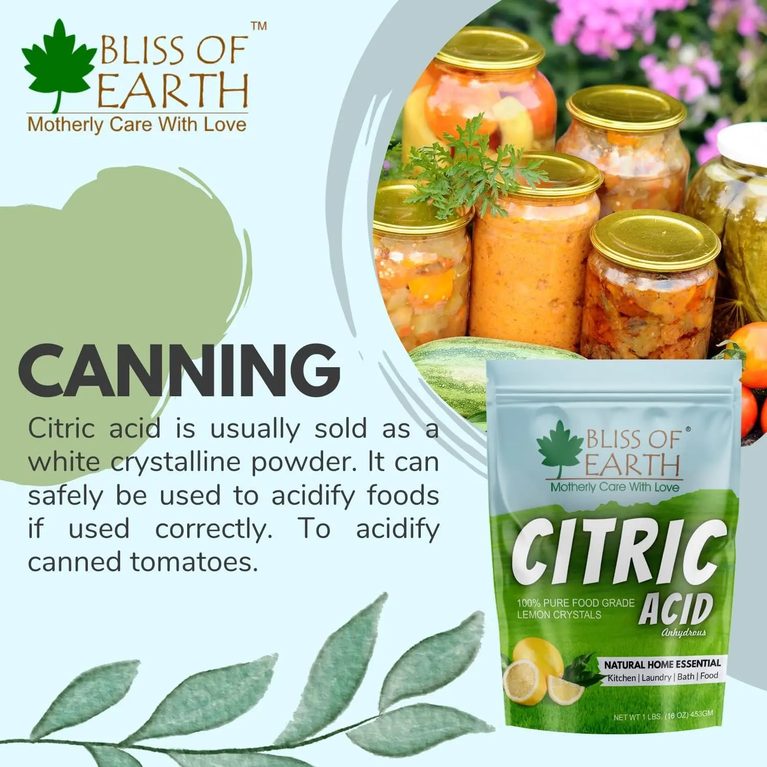 A resealable 907g pouch of Bliss of Earth citric acid powder, a versatile food grade ingredient ideal for cooking, cleaning, skincare, and preserving.