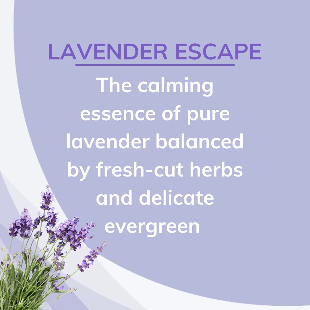 Citrus Magic Odor Absorber Lavender - 3 Pack - Image 3