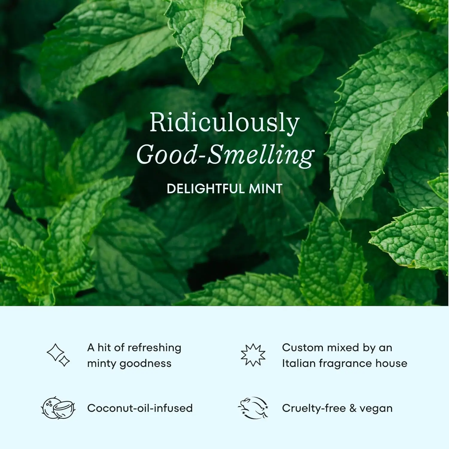 Mint flavored Cocofloss is dentist-designed with interwoven threads and coconut oil for a delightfully cleansing and bright smile.