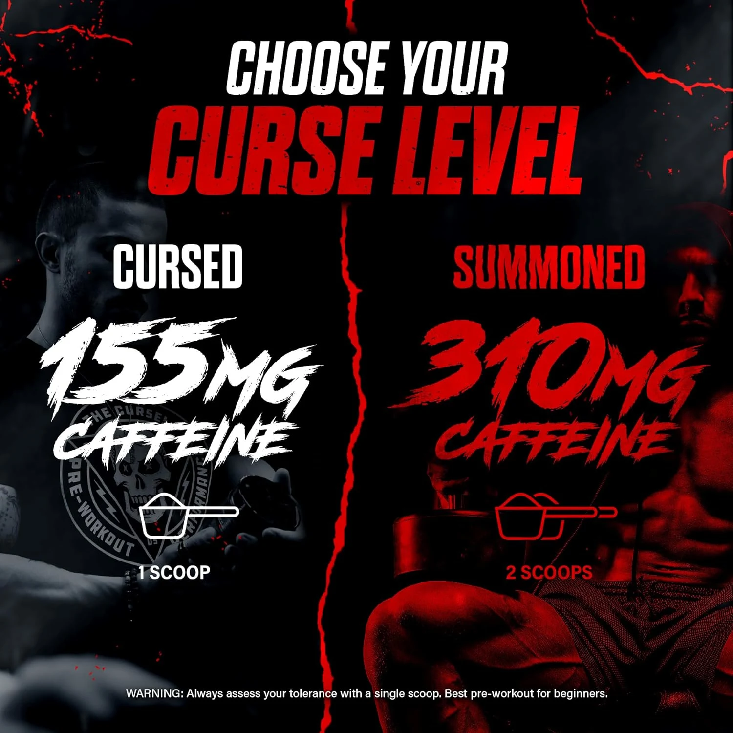 The Curse Pre Workout Blue Raspberry Ice - Image 4