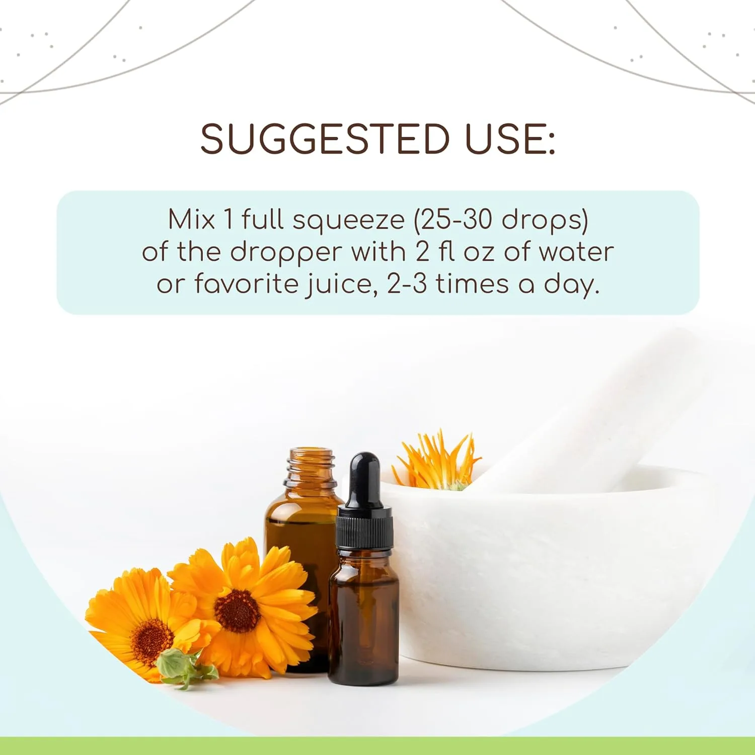 Dan Shen Extract - Organic Red Sage Tincture - Image 2