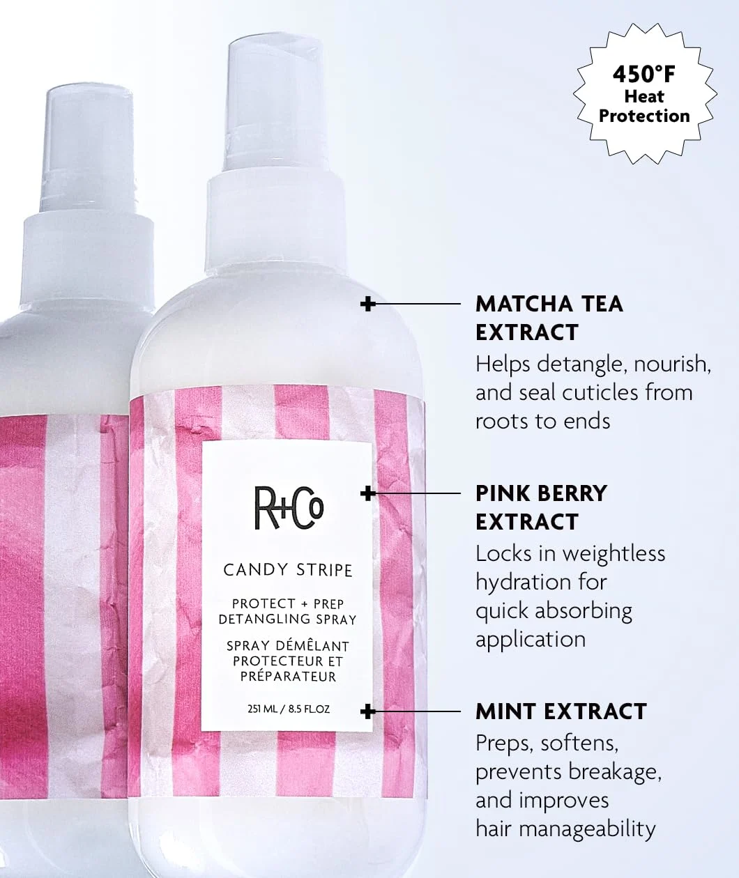 R+Co Detangling Spray: Protect & Prep, Hydrate & Nourish - Image 2