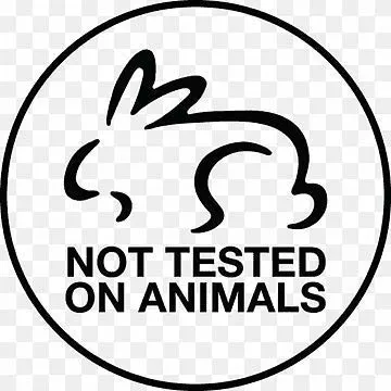 Disposable Toothbrush Travel Kit - 20 Pack - Image 4