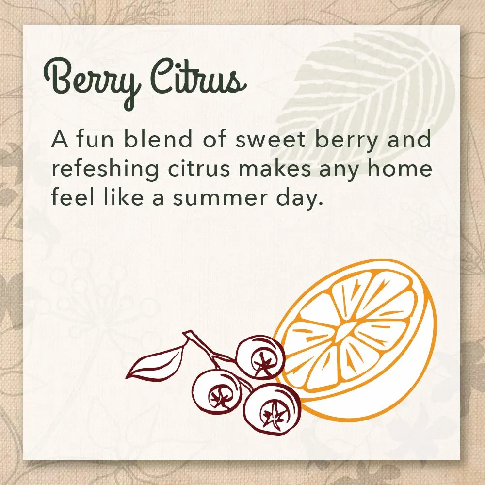 Eco Me Natural Dish Soap - Plant-Based and Animal Safe - Image 4