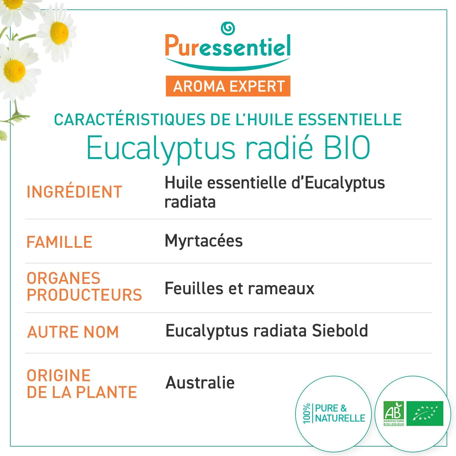 Eucalyptus Radiata Oil - Pure, Vegan & Organic - Image 2