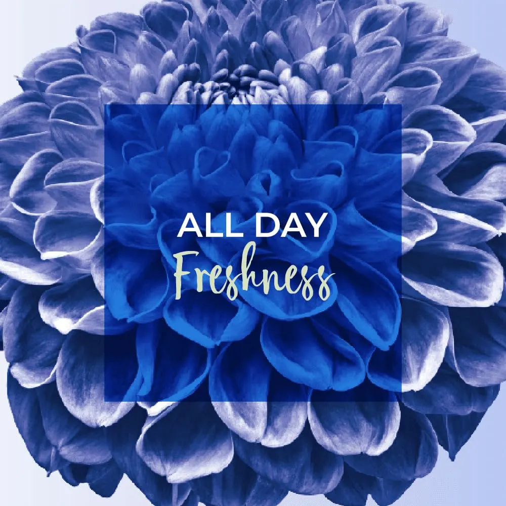 Freshdays Liners Long - Breathable & Soft - 72 Count - Image 6