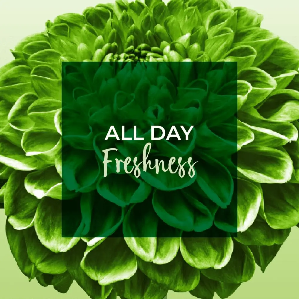 Freshdays Liners Normal 72 - Soft & Breathable - Image 7