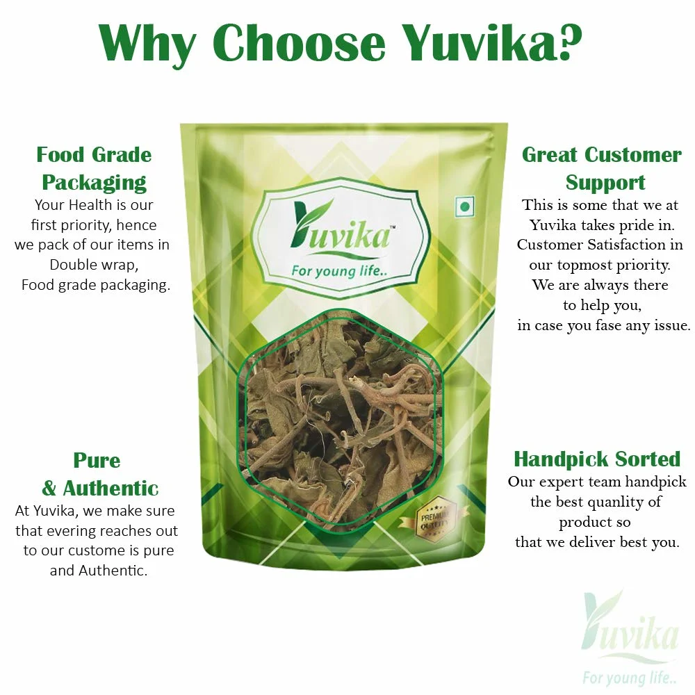 Yuvika Gurmar Leaves - Gymnema Sylvestre 800 Grams - Image 4