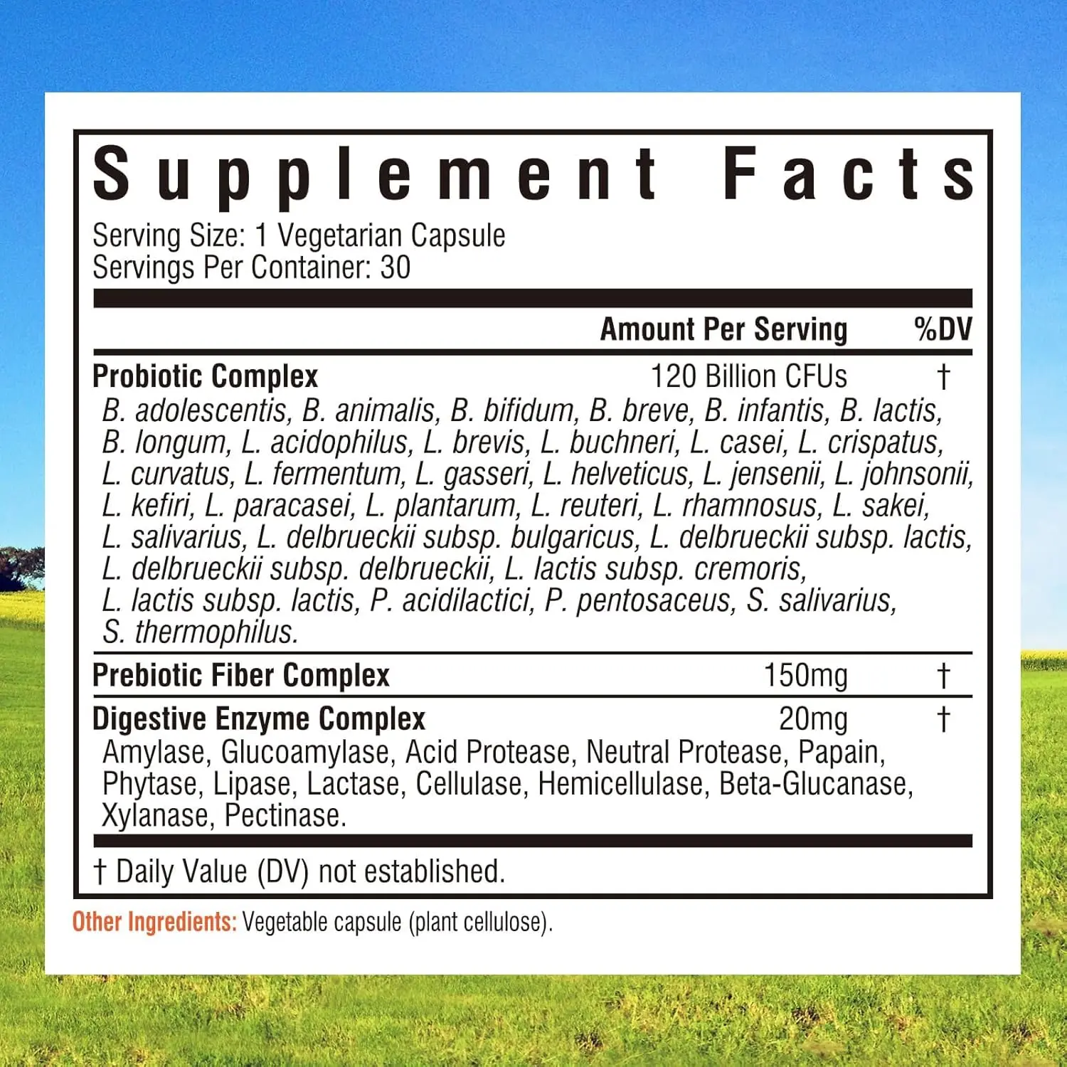 Bottle of Innate Vitality 3-in-1 Probiotics with 120 Billion CFUs, 34 Strains, Organic Prebiotics and Digestive Enzymes promoting digestion and immunity health for both women and men.