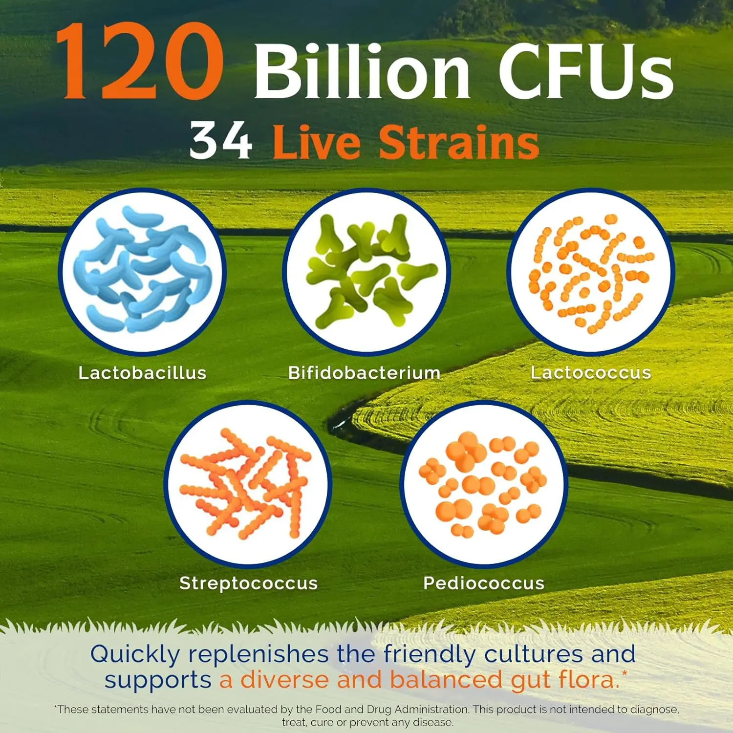 Bottle of Innate Vitality 3-in-1 Probiotics with 120 Billion CFUs, 34 Strains, Organic Prebiotics and Digestive Enzymes promoting digestion and immunity health for both women and men.