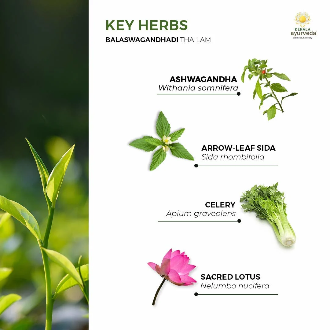 Kerala Ayurveda Balaswagandhadi Thailam 200ml - Image 6