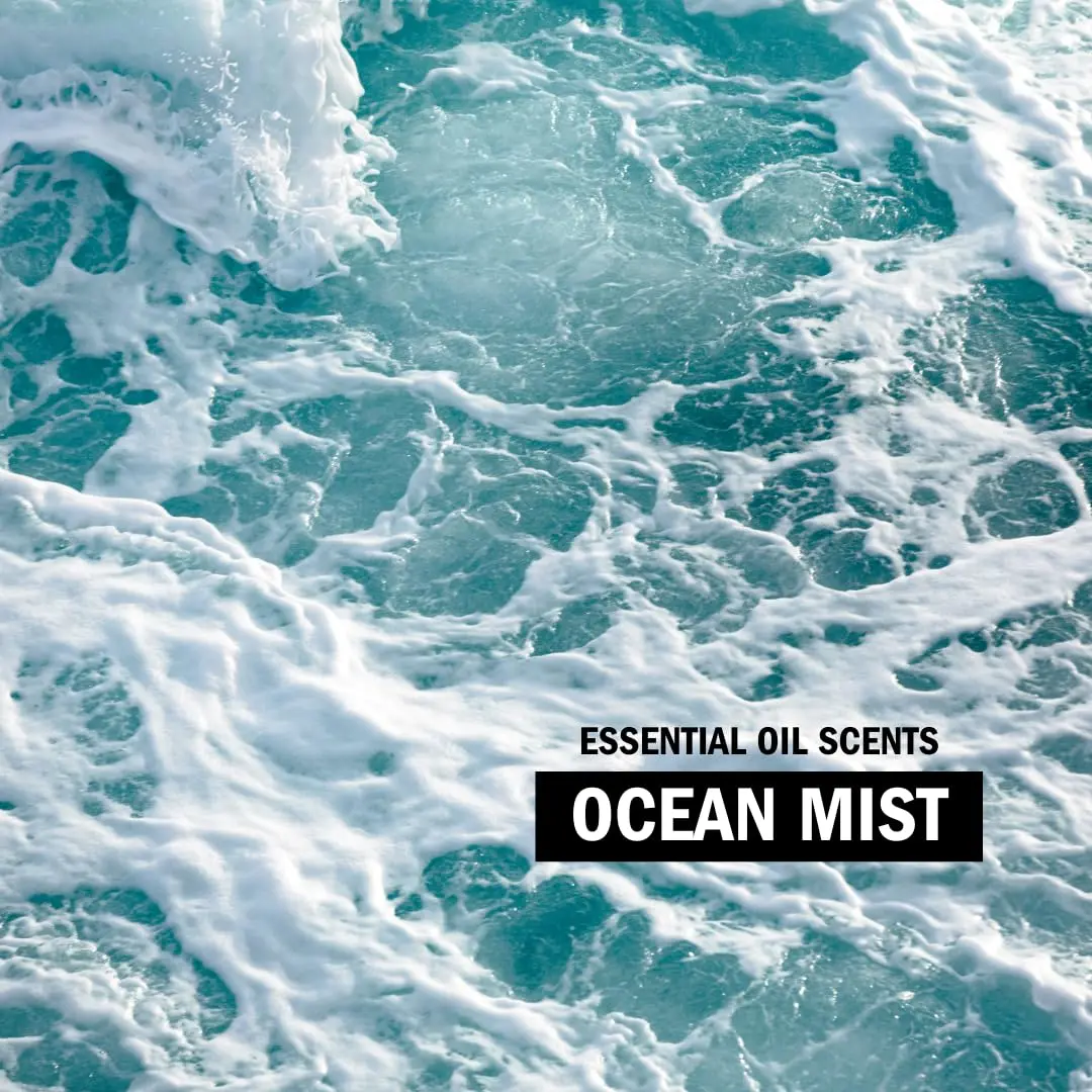 A pack of Molly's Suds Super Powder Laundry Detergent in Ocean Mist scent, offering 60 loads of plant-based, enzyme-powered cleaning that is safe for all washing machines, including HE.