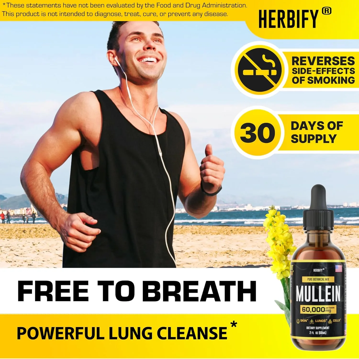 Mullein Extract for Lung Cleanse & Respiratory Support - Image 2