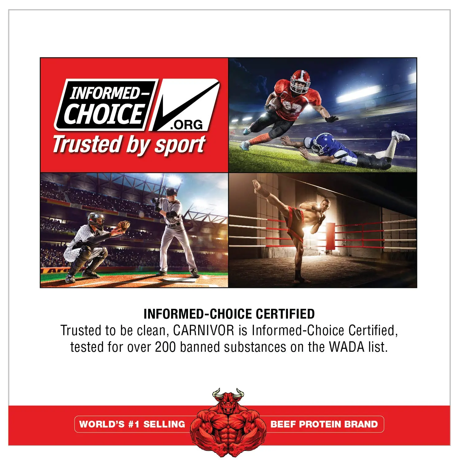 A tub of MuscleMeds Carnivor Vanilla Caramel flavored bioengineered beef protein isolate, a concentrated source of amino acids and gluten-free alternative to whey.