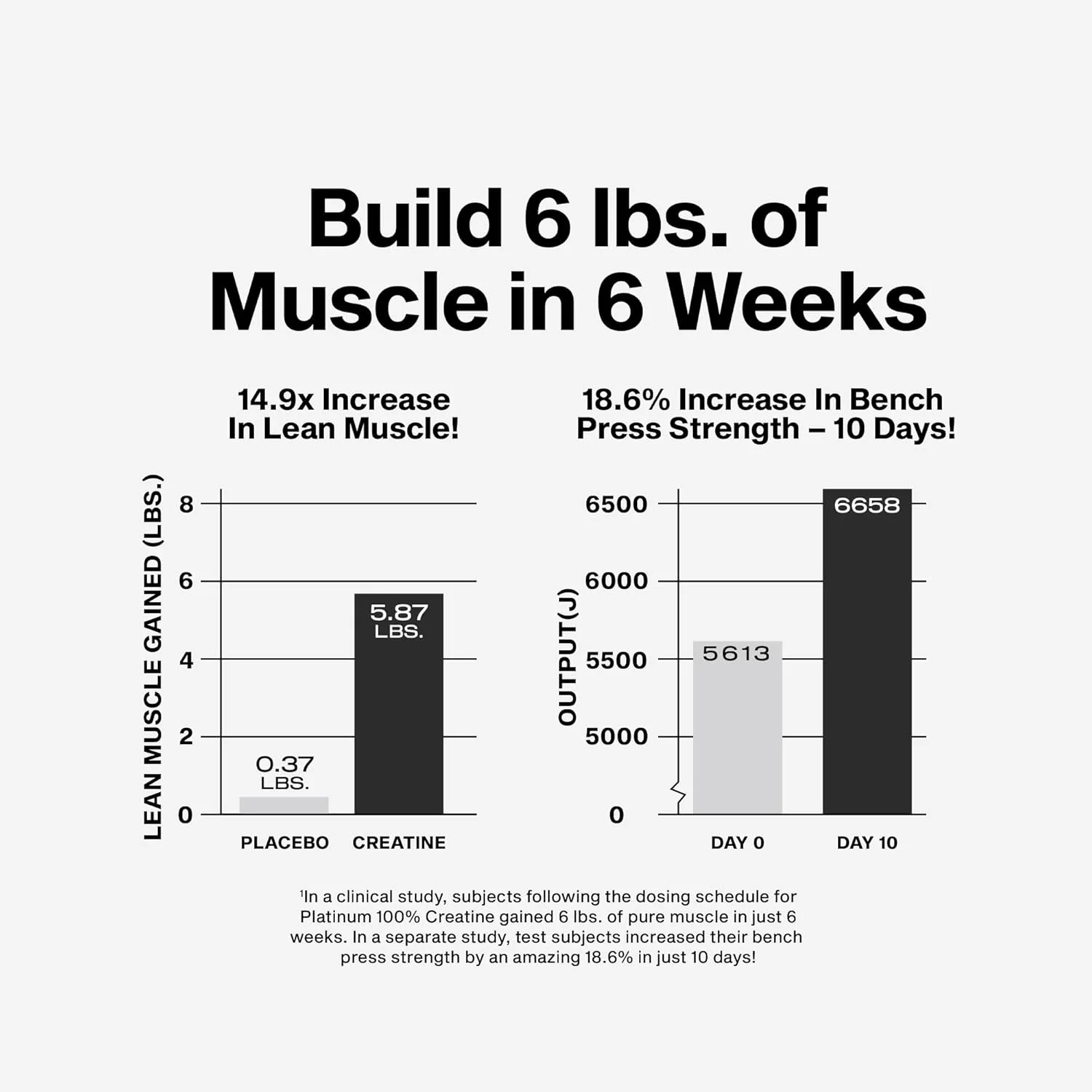 MuscleTech Creatine Monohydrate - Muscle Builder - Image 5