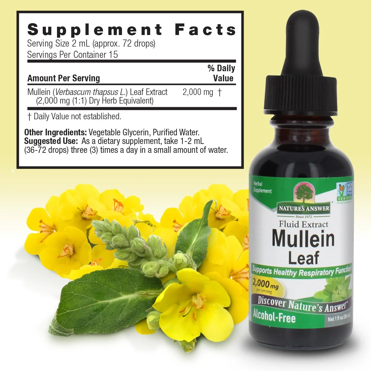 Nature's Answer Mullein Leaf Alcohol-Free - Image 3