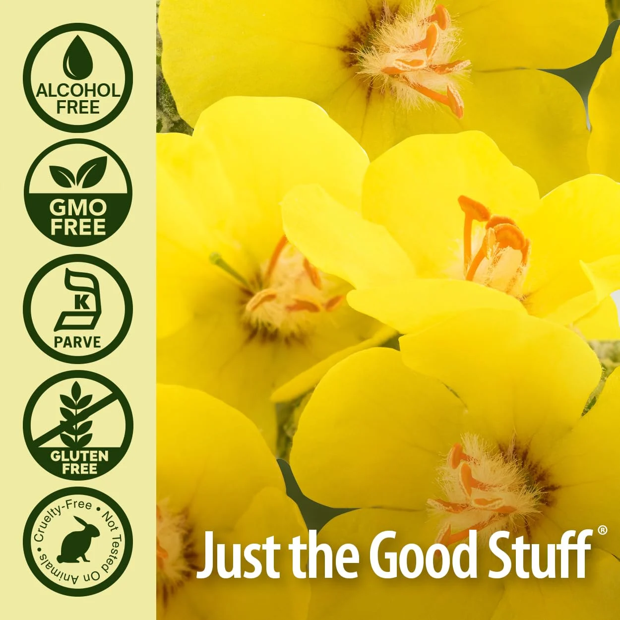 Nature's Answer Mullein Leaf Alcohol-Free - Image 4