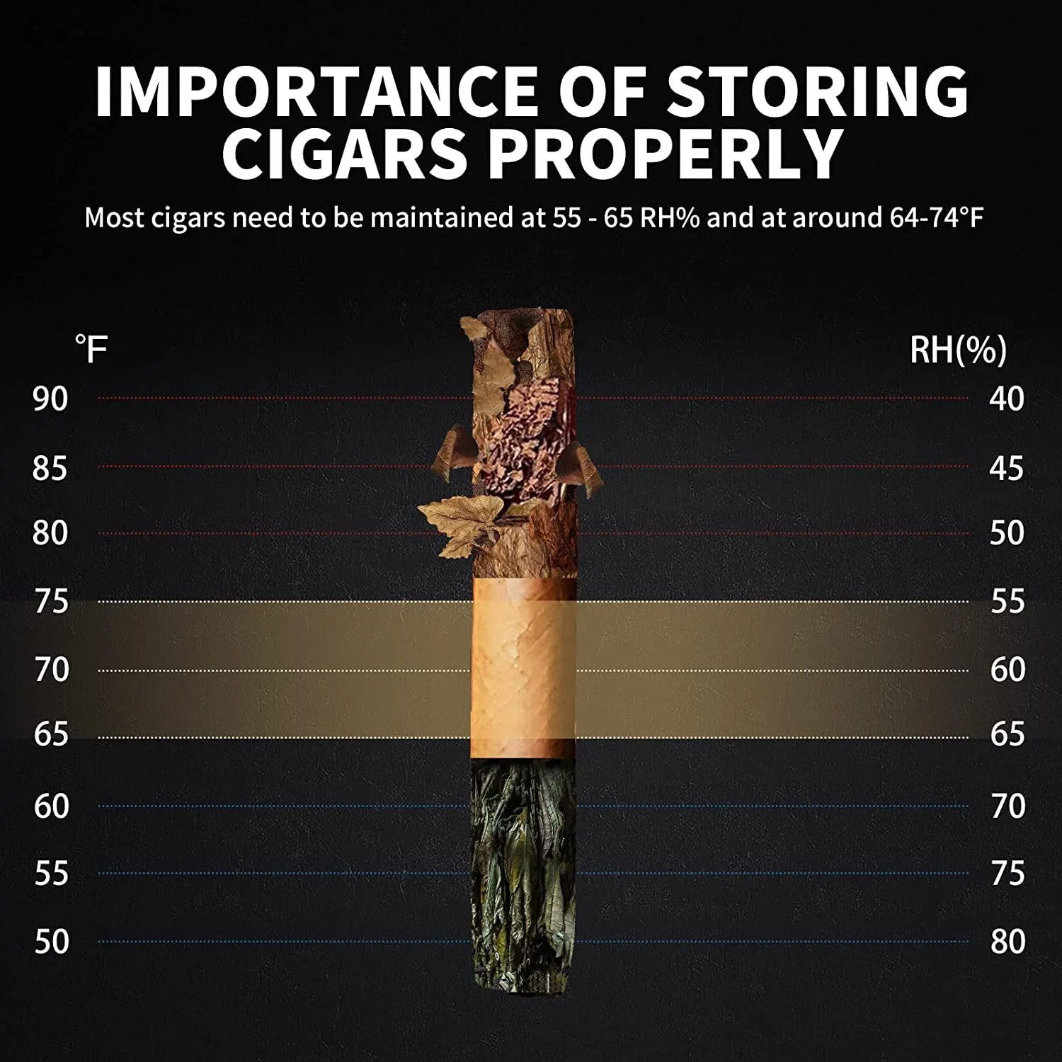 NEEDONE Humidor Cooler Heater 16L Electric 100 Counts - Image 5