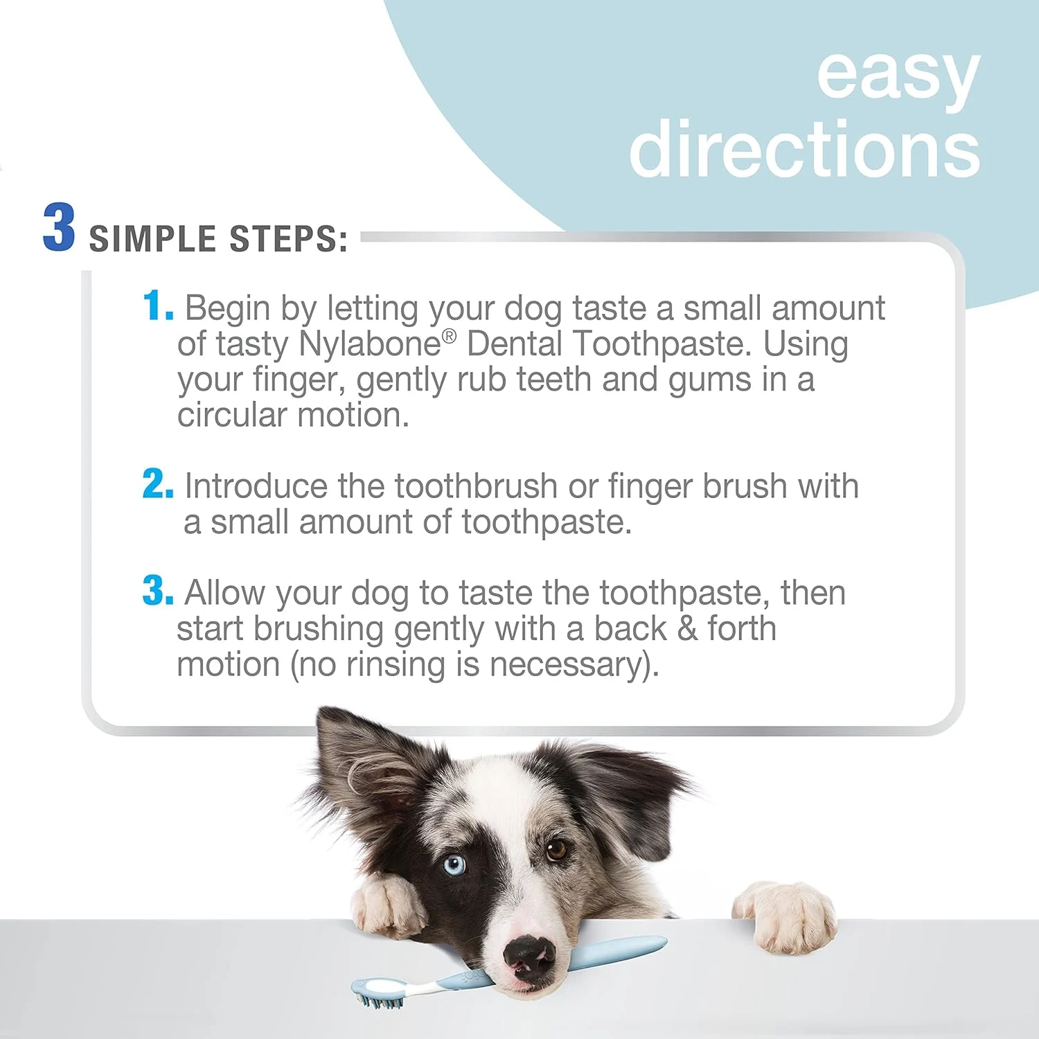 Nylabone Advanced Oral Care Kit for Adult Dogs - Image 4