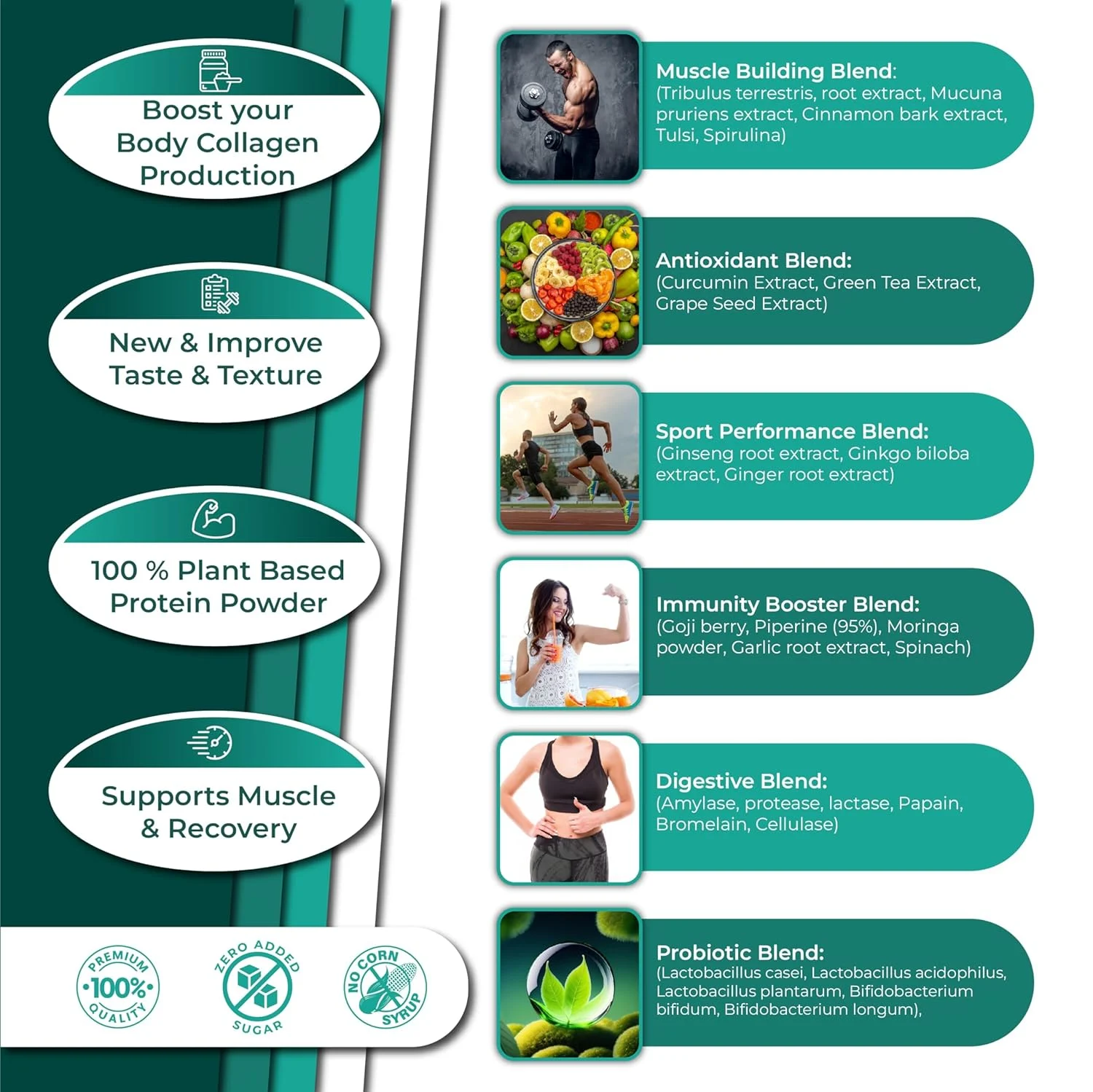 Oladole Vanilla Protein Powder: Plant Based, Organic - Image 2