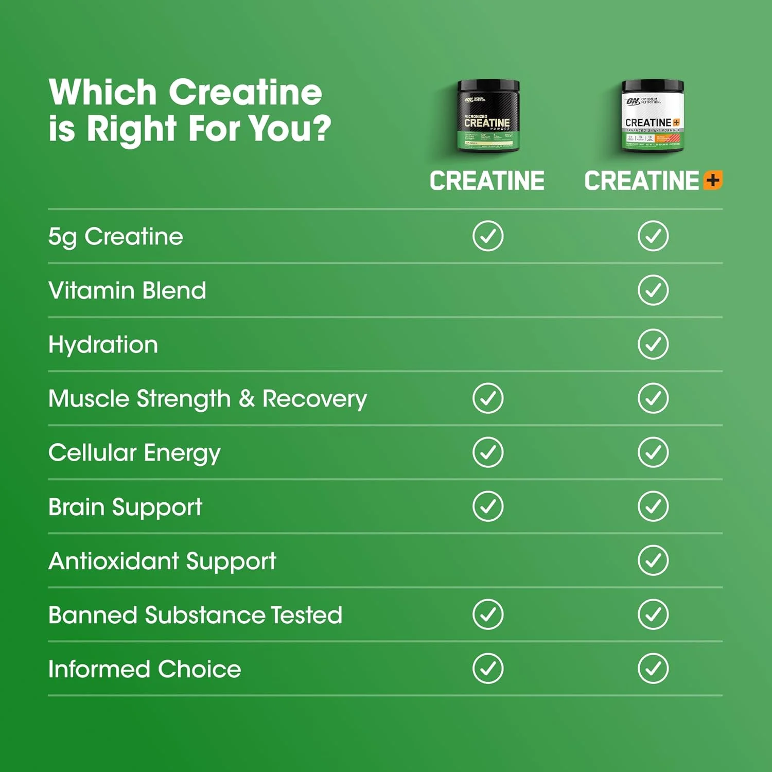 ON Micronized Creatine Monohydrate - Muscle Building - Image 4