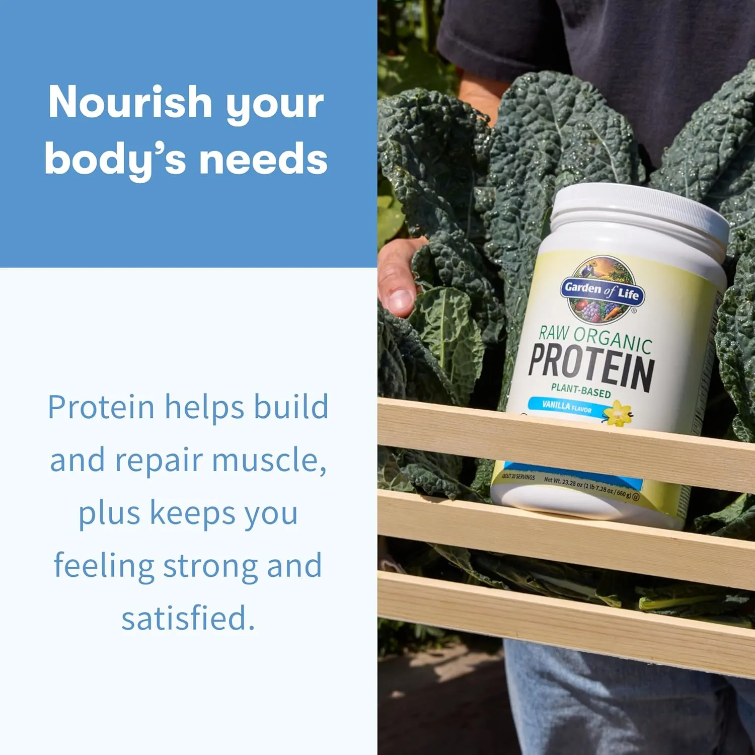 Organic Vegan Protein Powder - Plant Based, 22g Protein - Image 4