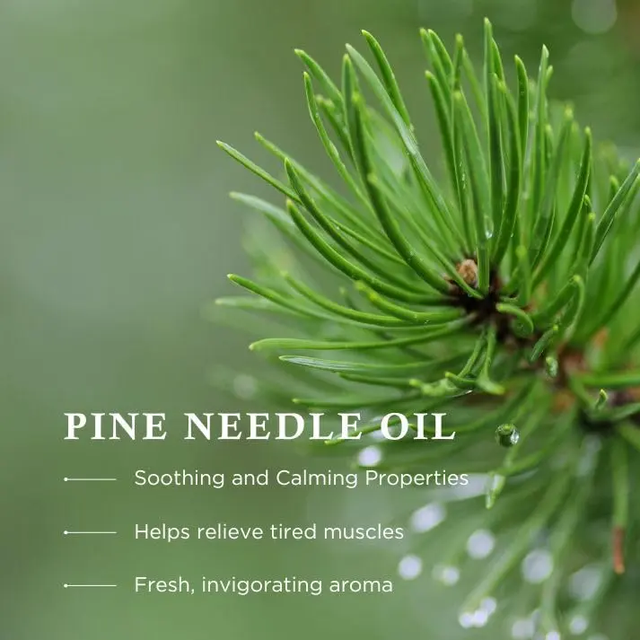 Pine Bath Essence - Wiberg's Pine Needle Oil Bath - Image 4