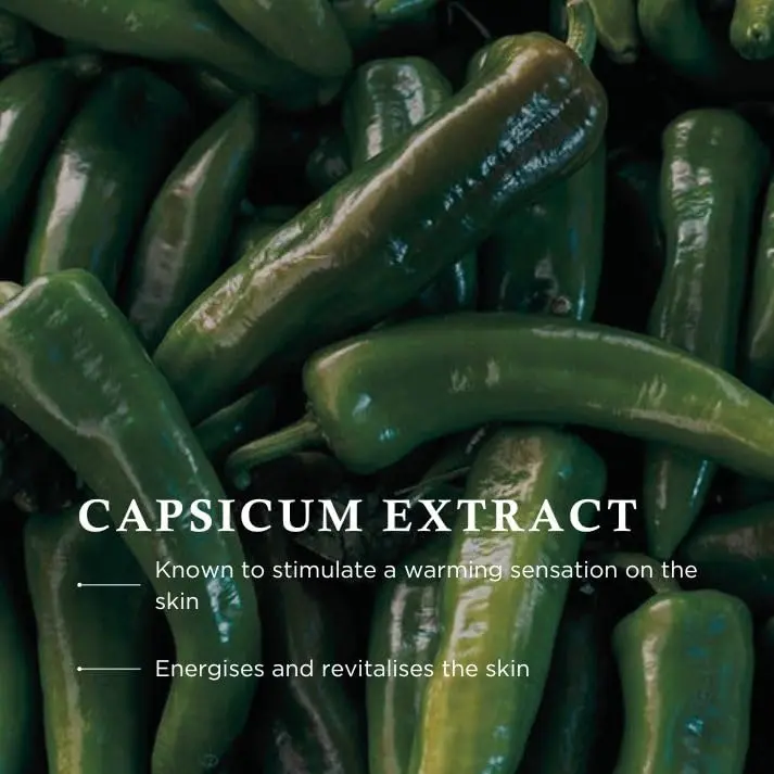 Pine Bath Essence - Wiberg's Pine Needle Oil Bath - Image 5