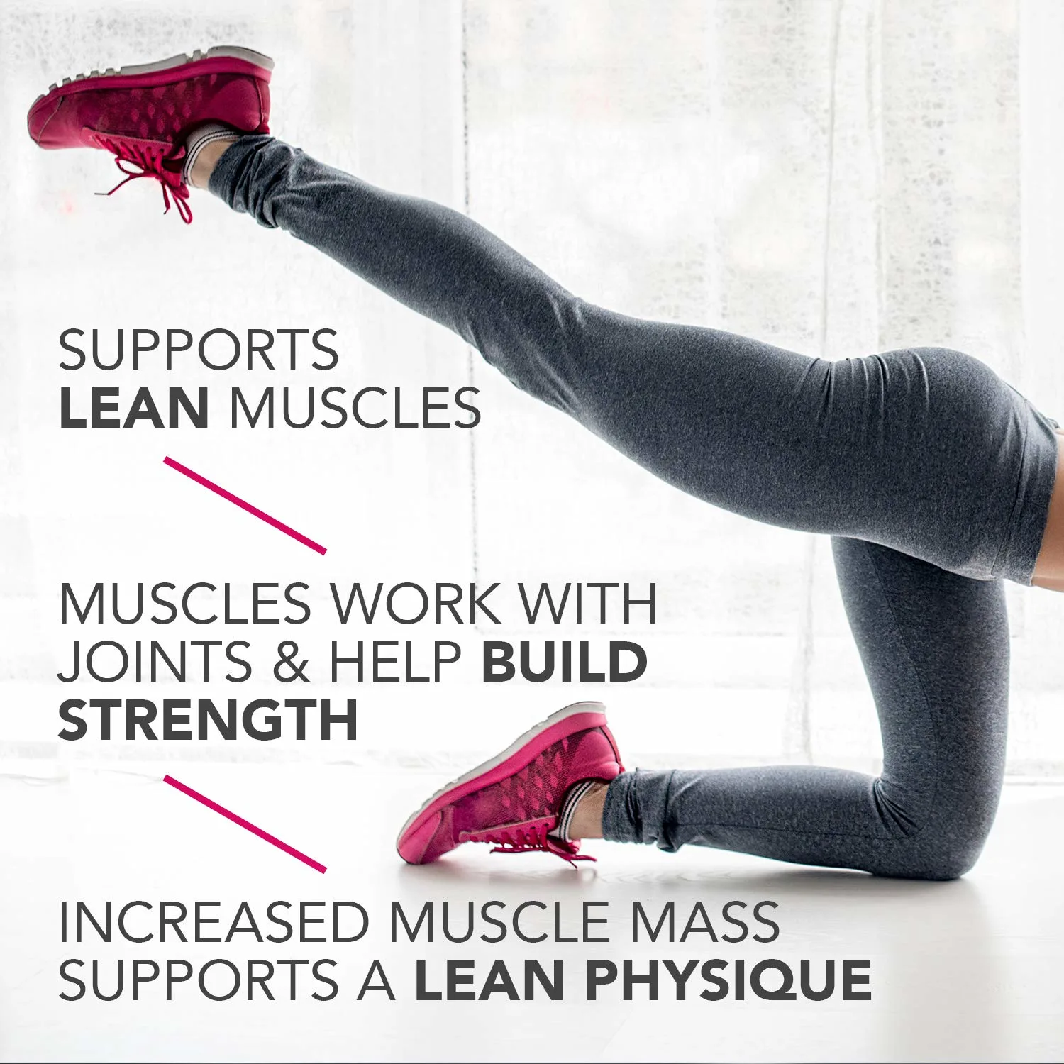 Pure Protein Bar Chocolate Peanut Caramel - 12 Count - Image 7