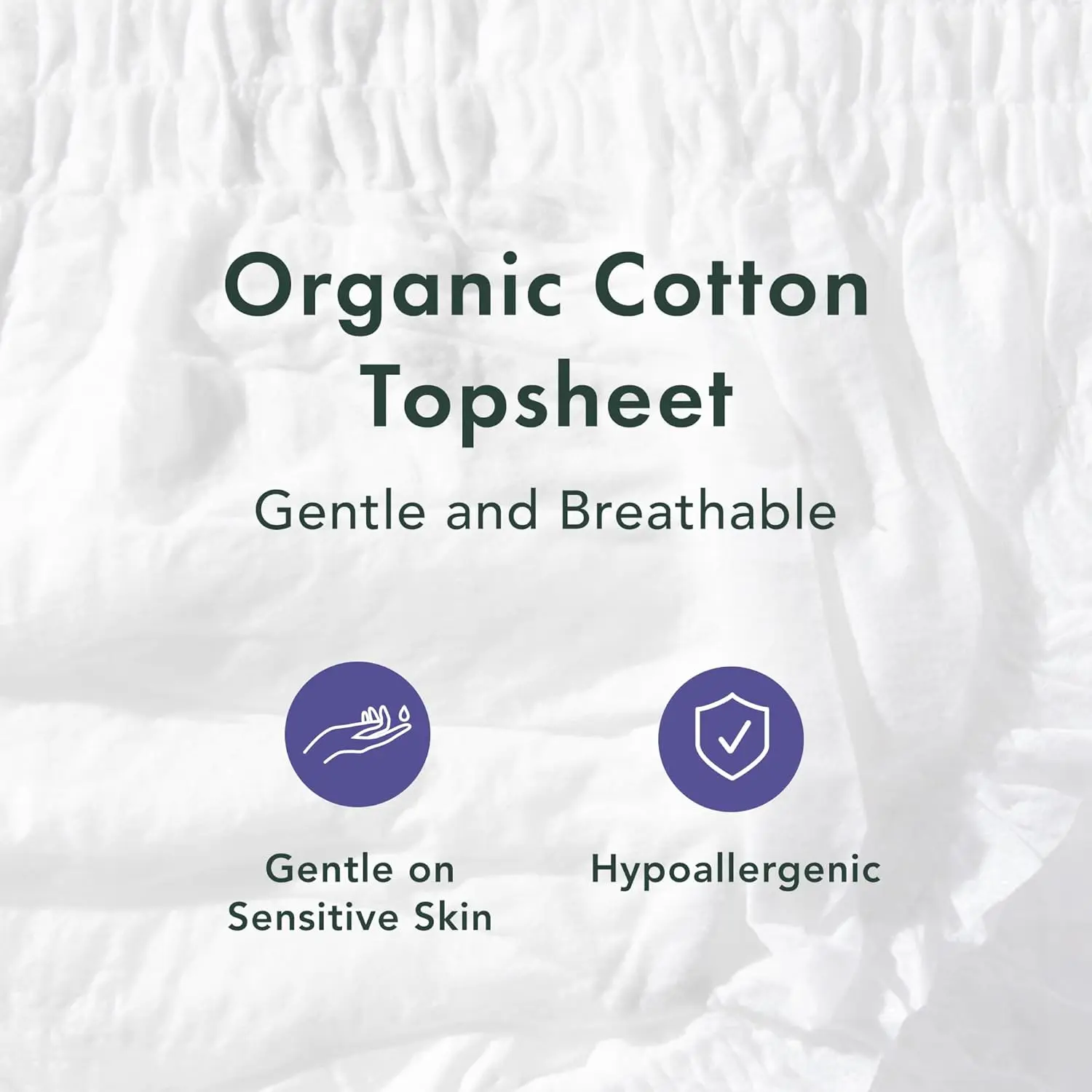 Rael organic cotton period underwear in size small to medium provides maximum coverage and absorbency for leak-free overnight protection.