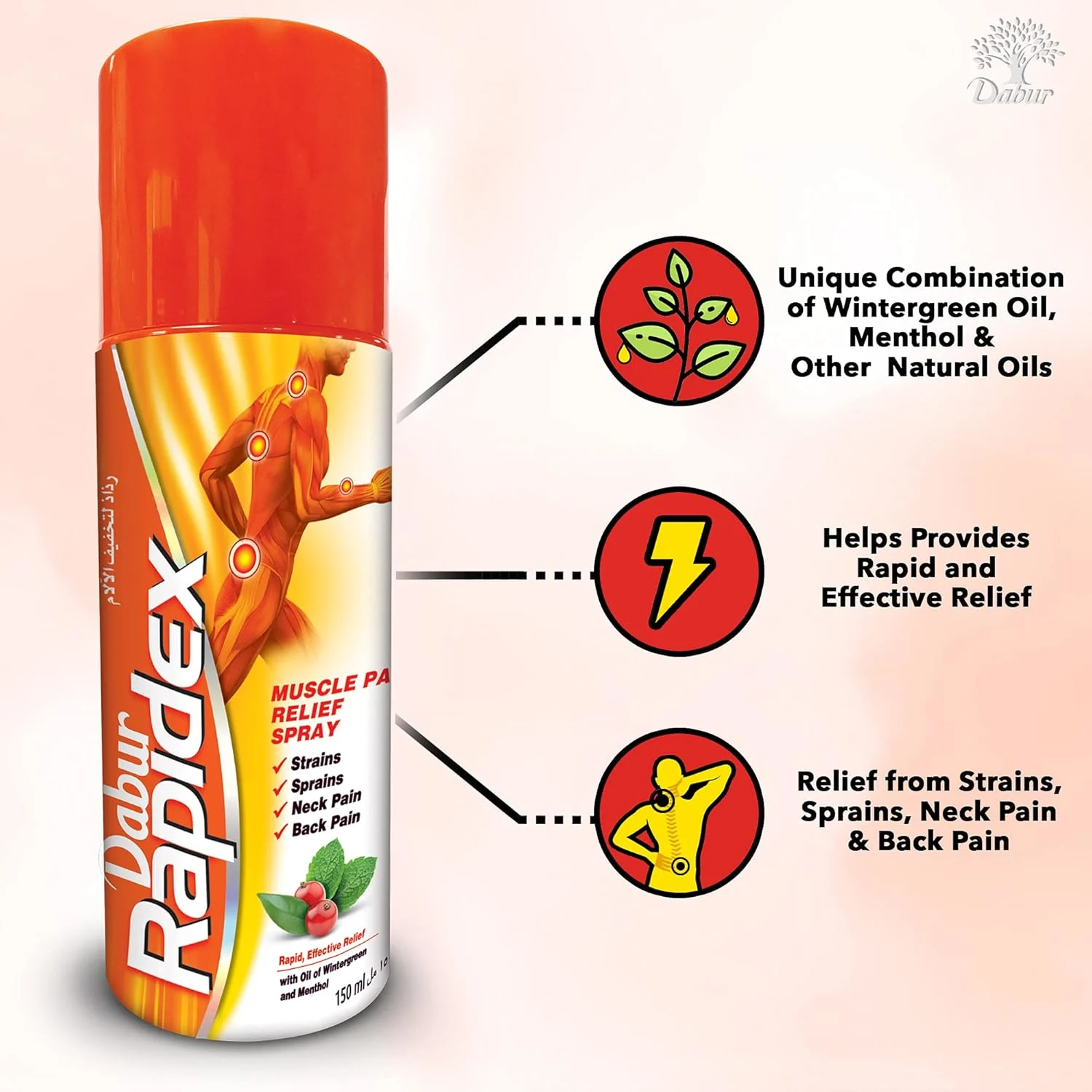 Rapidex Pain Relief Spray | Muscle & Joint Pain - Image 3