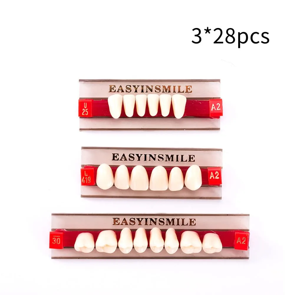 Resin Teeth Denture Set A2 Halloween Props - Image 2