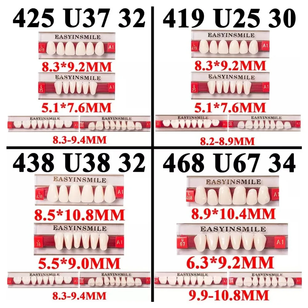 Resin Teeth Denture Set A2 Halloween Props - Image 4