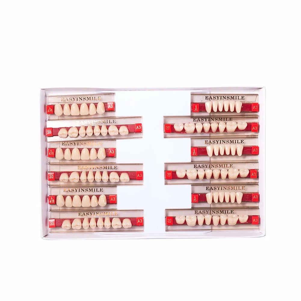 Resin Teeth Denture Set A2 Halloween Props - Image 6