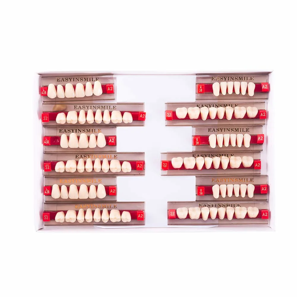 Resin Teeth Denture Set A2 Halloween Props - Image 7