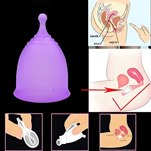 This image shows a set of two reusable menstrual cups, one small and one large, made of soft, flexible, medical-grade silicone, along with a collapsible sterilizing cup.