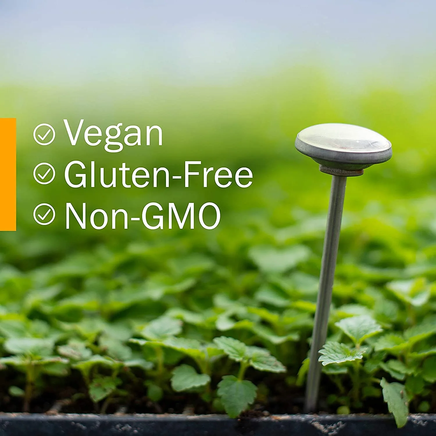 Herb Pharm Organic Rosemary Extract - 1oz - Image 7