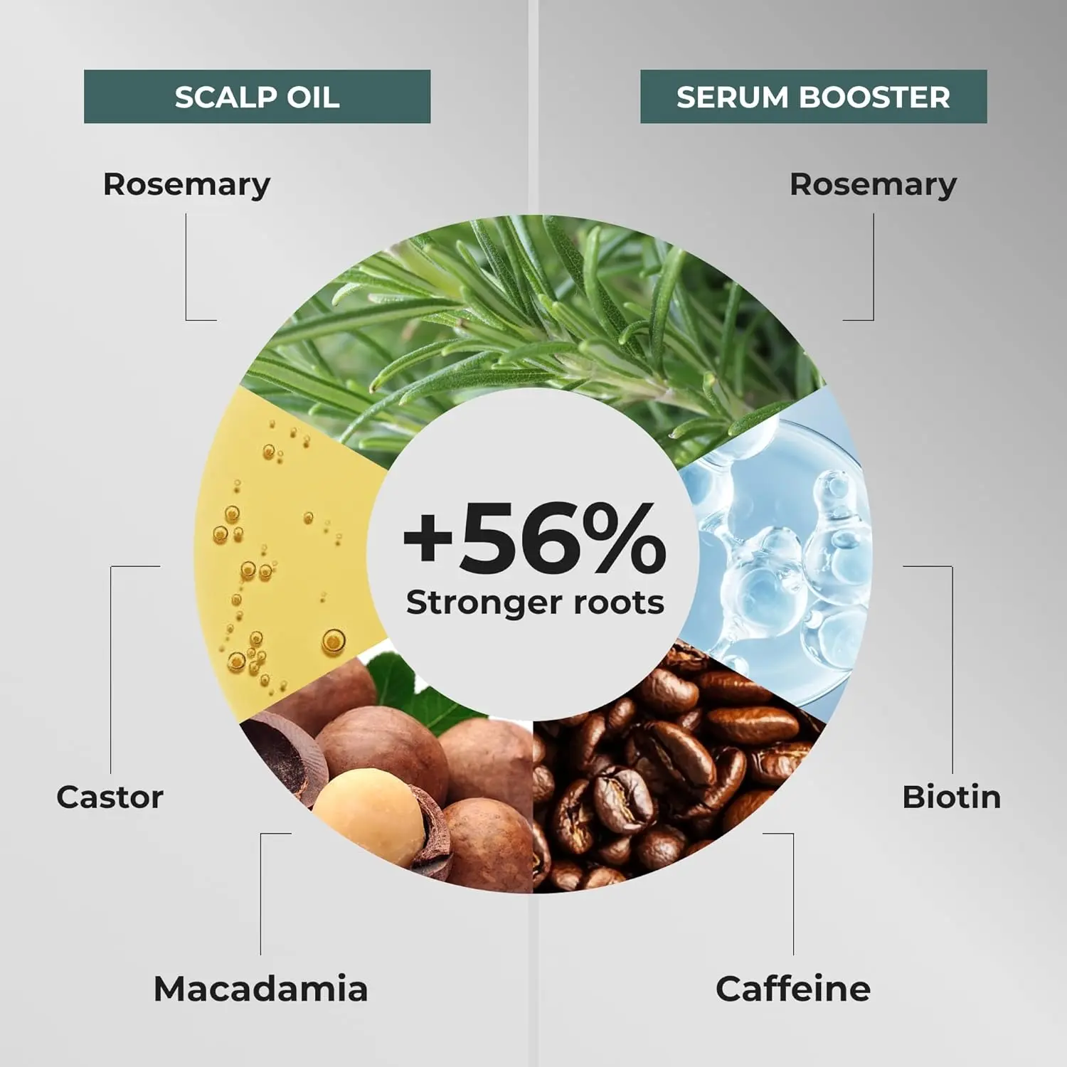 Tashe Professional rosemary and biotin hair growth serum and oil set designed to strengthen and nourish hair for thicker, healthier looking results.