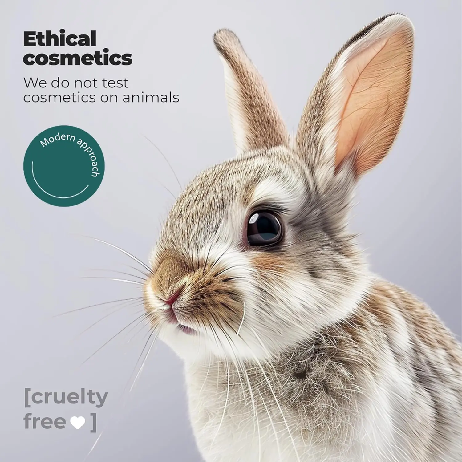 Tashe Professional rosemary and biotin hair growth serum and oil set designed to strengthen and nourish hair for thicker, healthier looking results.