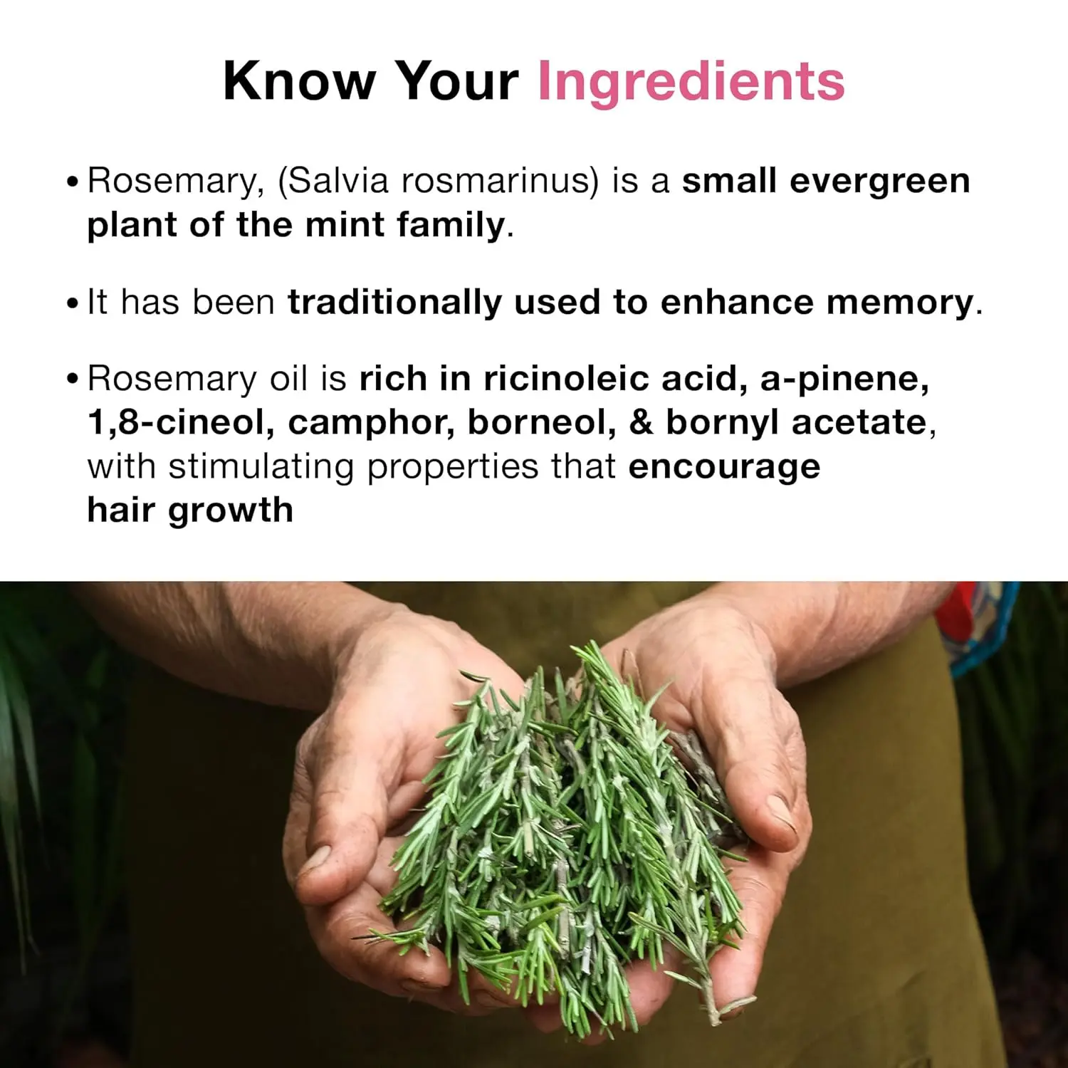 Soulflower organic rosemary essential oil promotes hair growth and scalp nourishment, ideal for hairfall control.