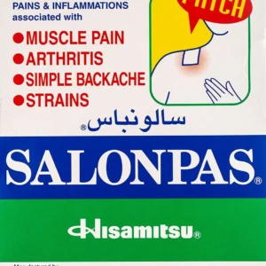 Salonpas Pain Relief Patch - 20 Count