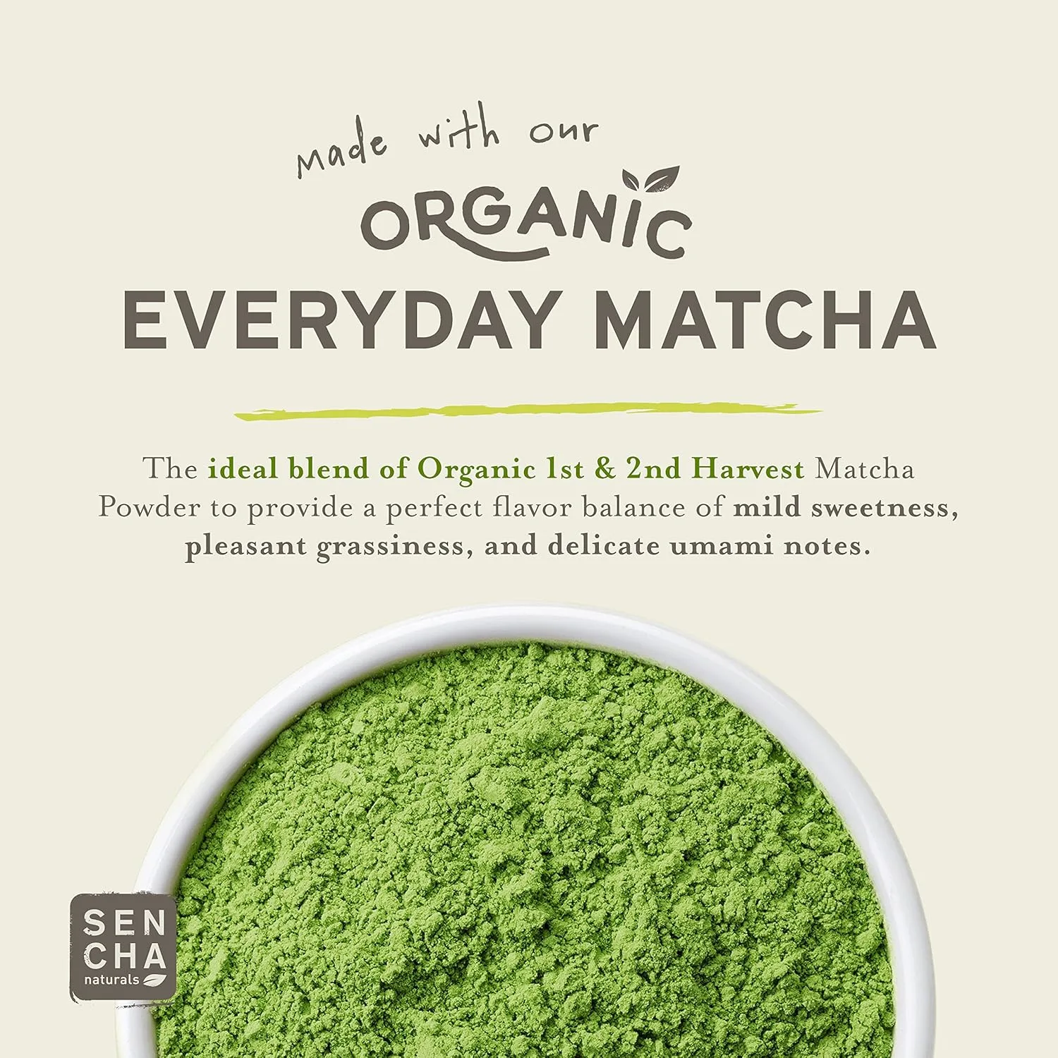 Sencha Green Tea Mints - Tropical Mango - Sugar Free - Image 5