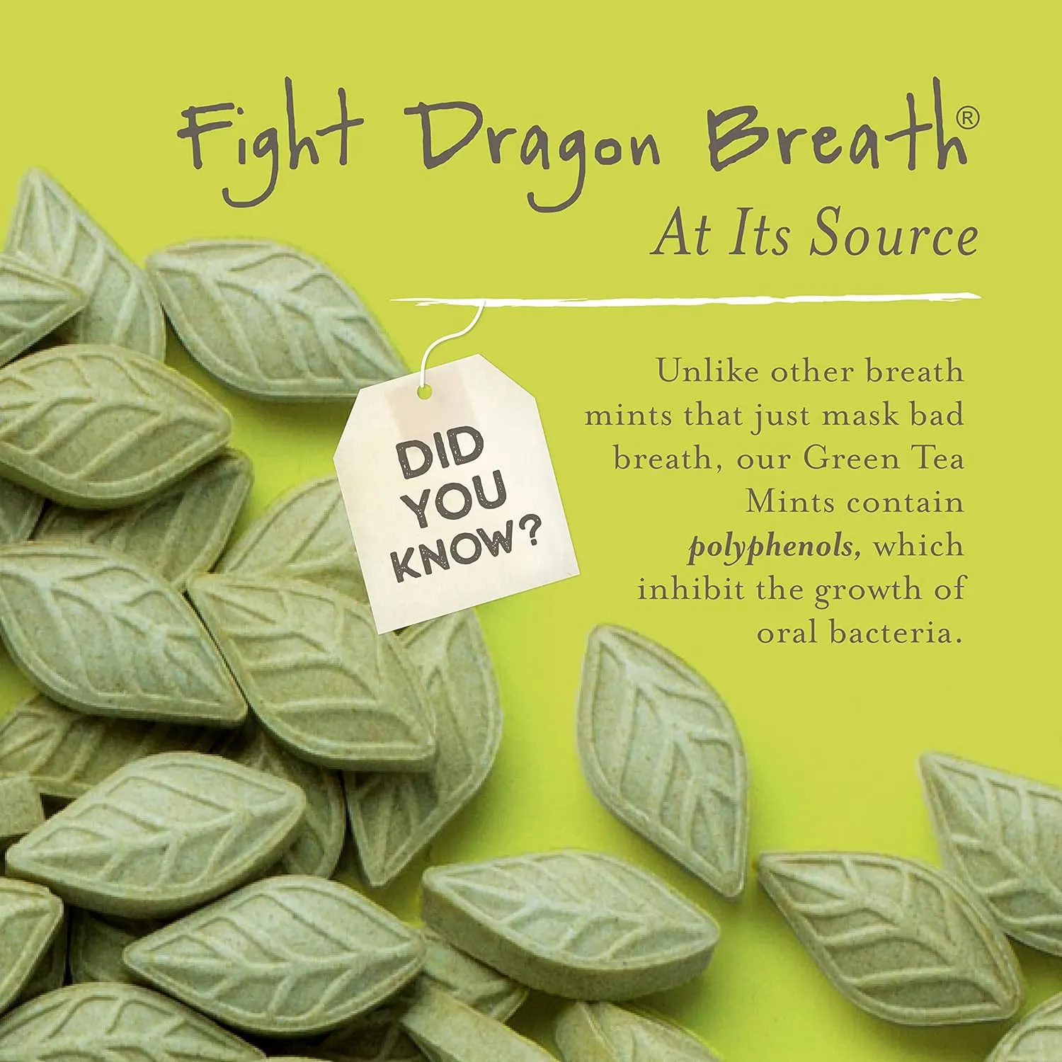 Sencha Green Tea Mints - Tropical Mango - Sugar Free - Image 6