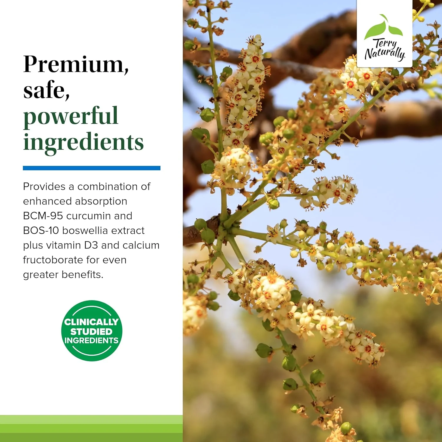 Terry Naturally Healthy Knees & Joints - 60 Caps - Image 5