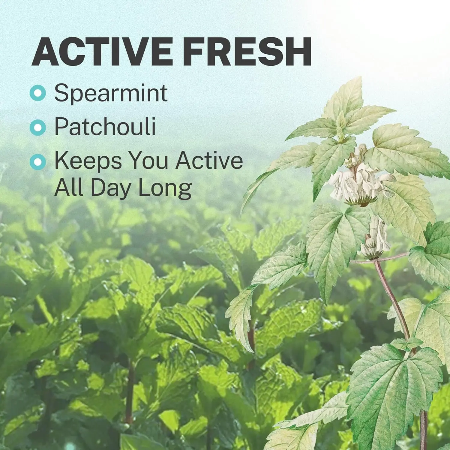 A bottle of Volt Active Fresh laundry scent booster beads promises fresh, soft, and delightful-smelling clothes with its eco-friendly formula.